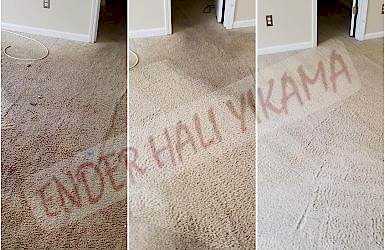 Duvardan Duvara Halı Yıkama